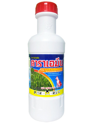 ดาราเอมีนหมาแดง1L*20